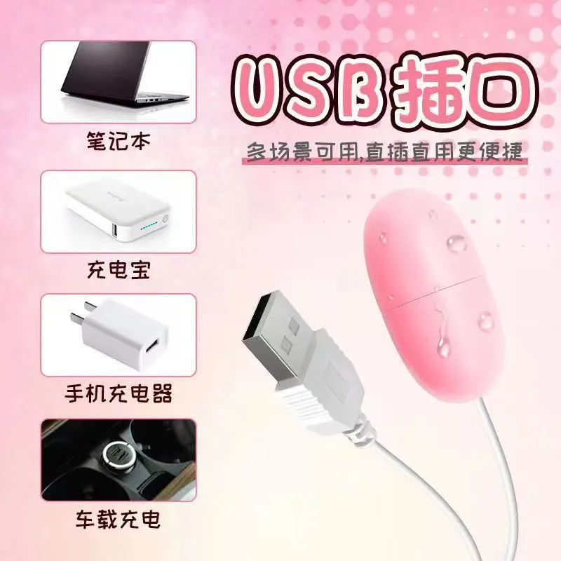 USB double-jumping single-vibrating egg boxed direct plug-in frequency conversion strong shock female masturbation device adult sex toys 5